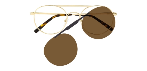 Watts Aviator Prescription Glasses - Gold